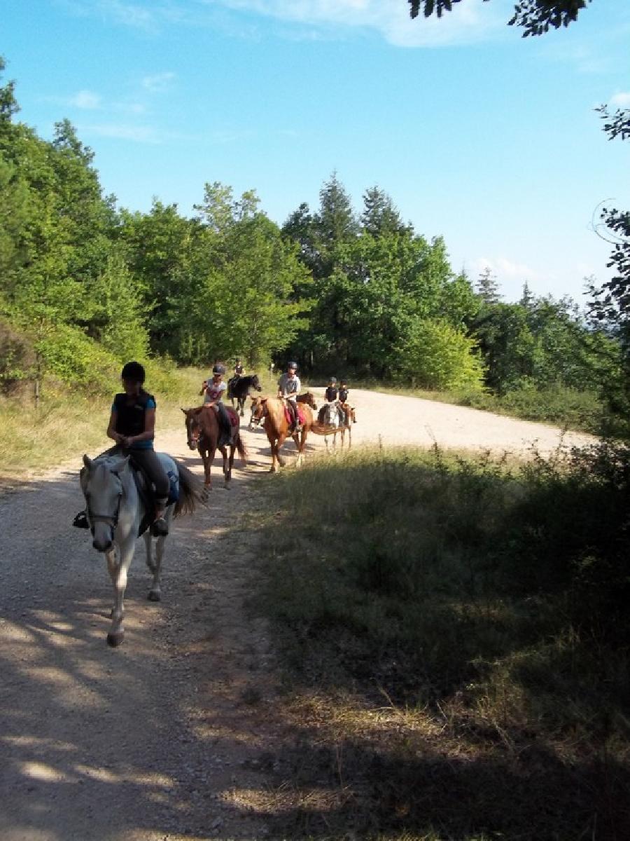 Promenade en forêt