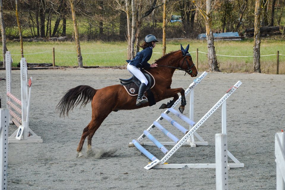 CSO - Concours de Saut d'Obstacles