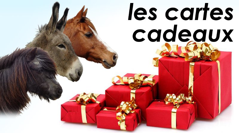 Cartes cadeaux cheval, poney ou âne