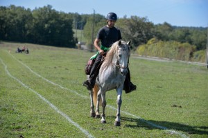 TREC St-Beauzile 2015