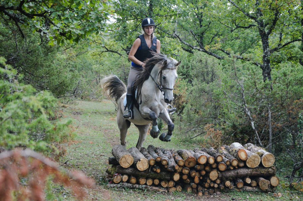 Parcours de cross