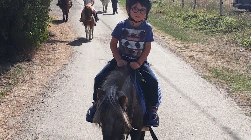 Découvrir le poney et l’équitation