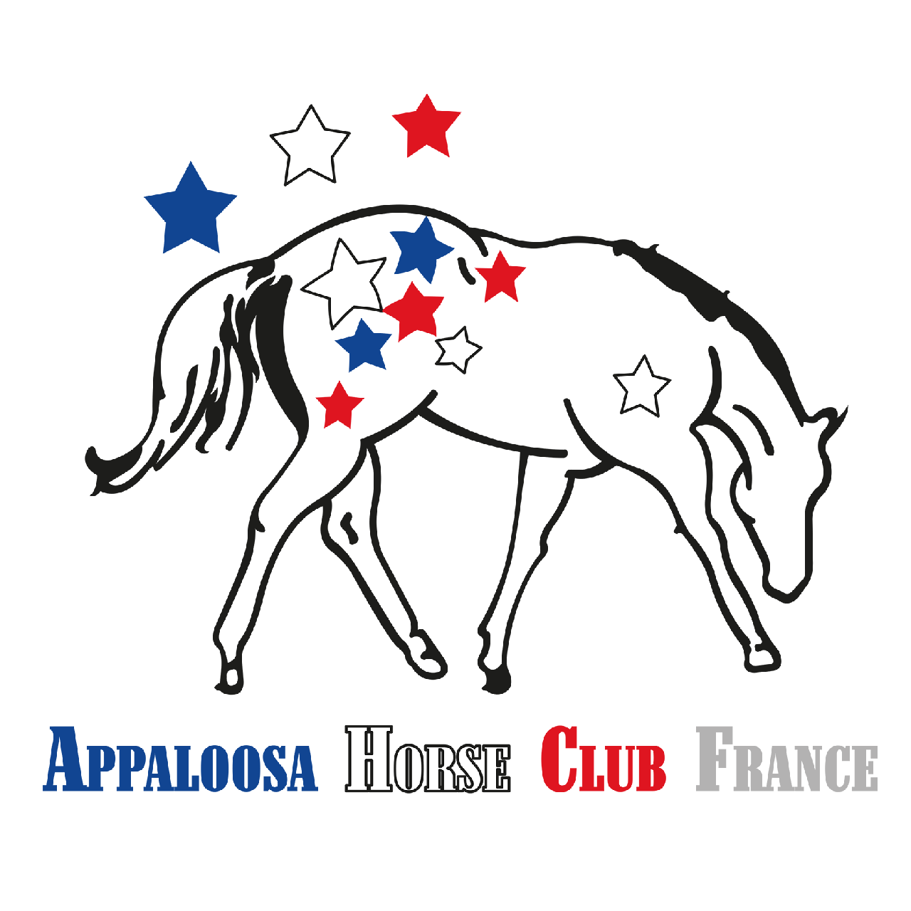 Appaloosa Horse Club France