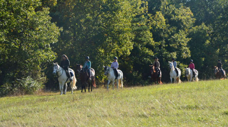 Balade équitation