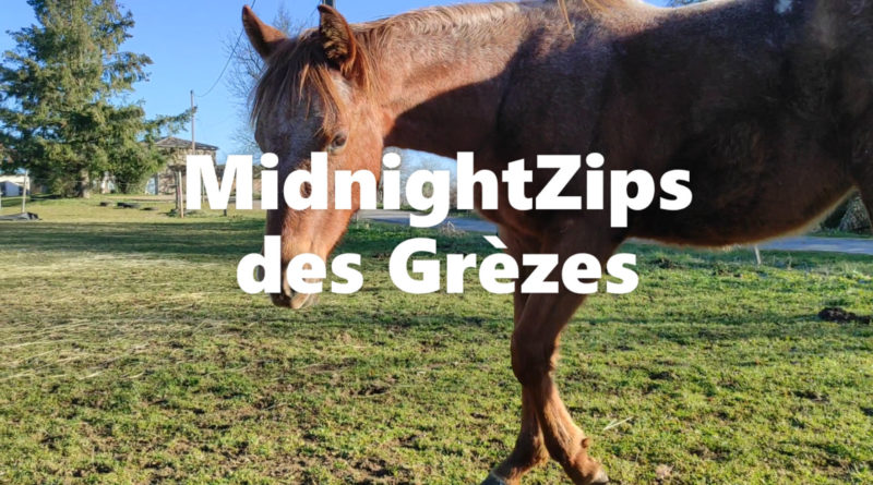 MidnightZips des Grèzes
