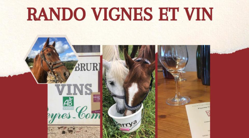 Rando Vignes et vin, 7-8 octobre