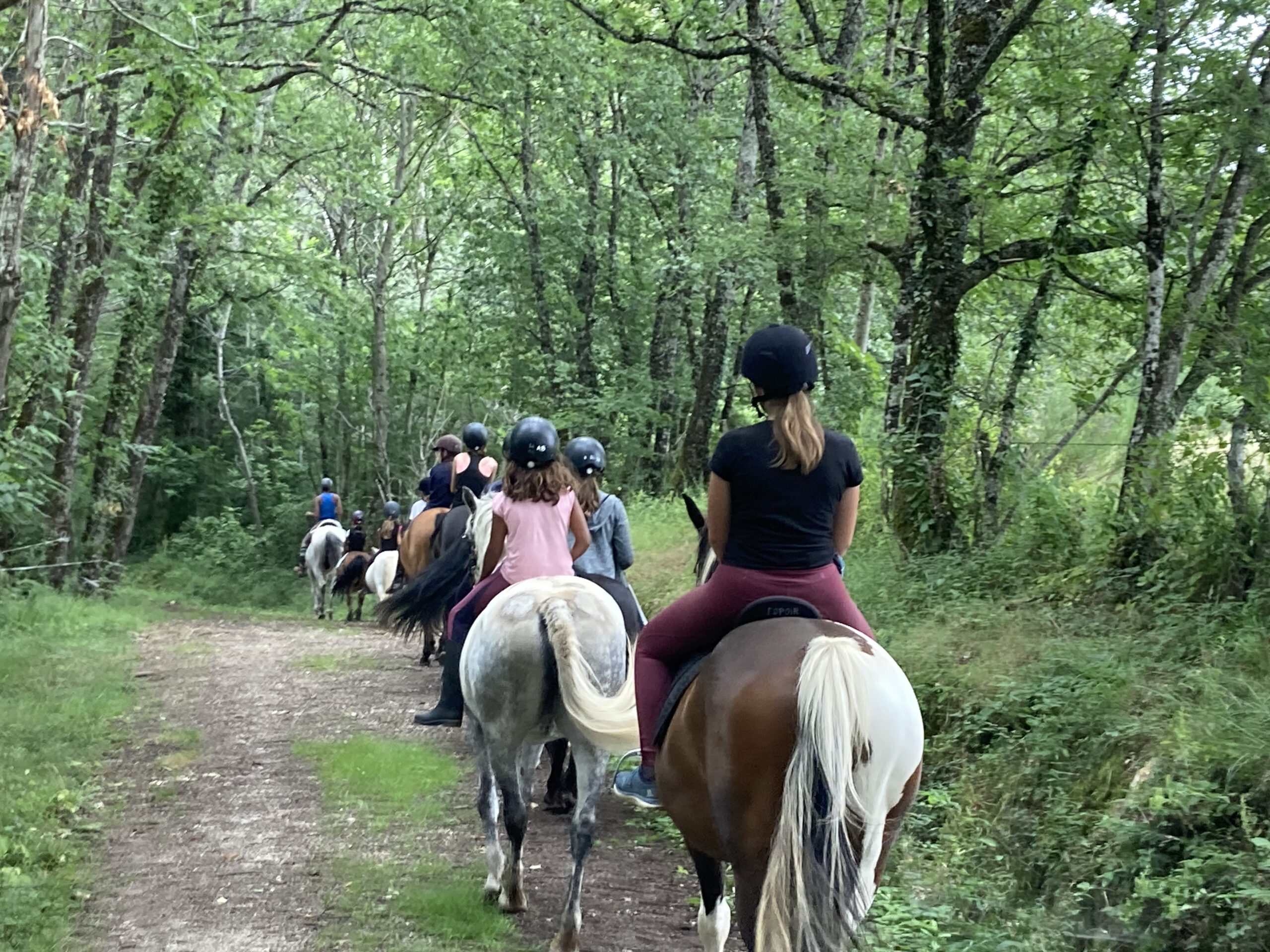 Stages et séjours jeunes