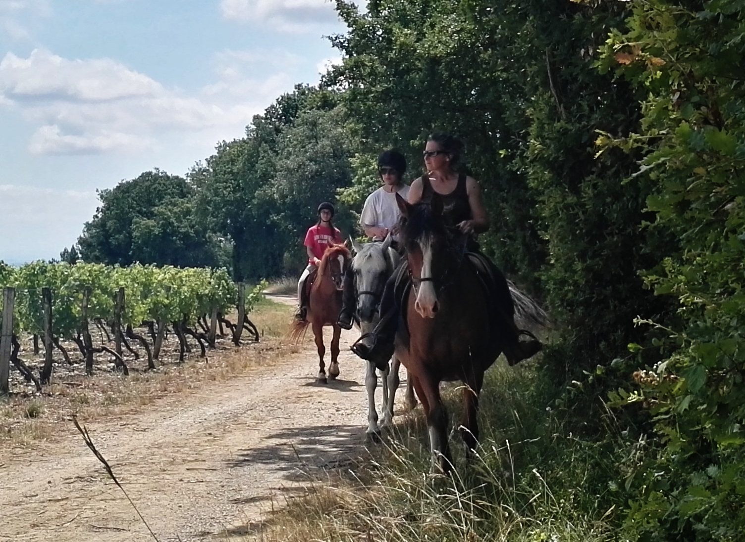 Débuter en balade équestre