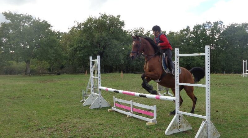 perfectionnement ado